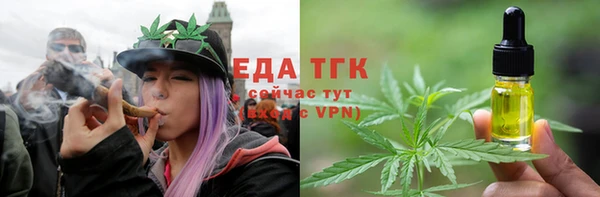 мет Алексин