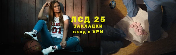 индика Алзамай