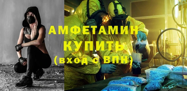 мет Алексин