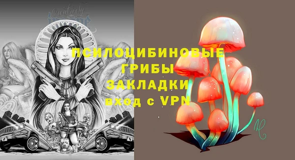 круглые Инта