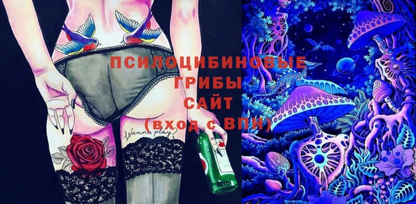 дмт Алексеевка