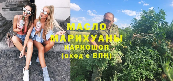 мет Алексин