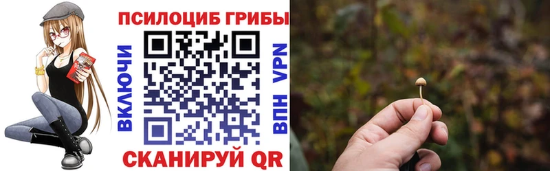 Галлюциногенные грибы Magic Shrooms  Белгород 